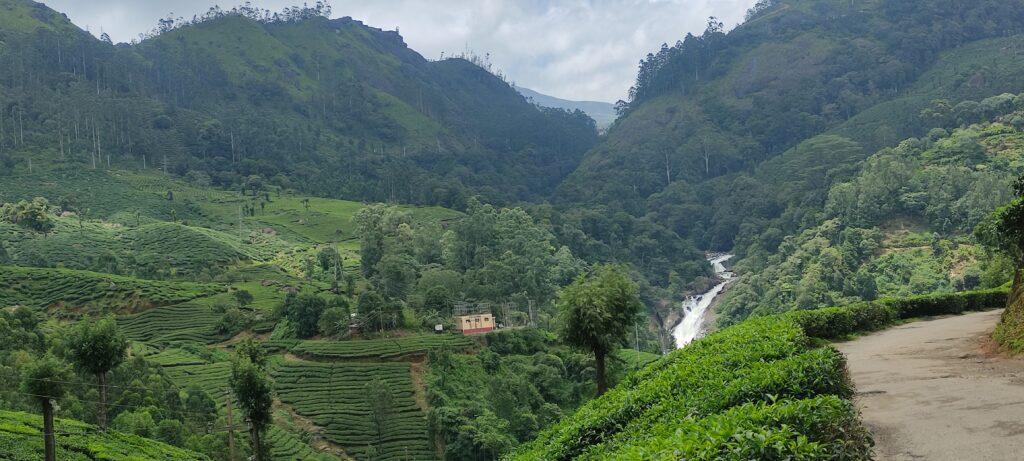 Munnar Tourism guide